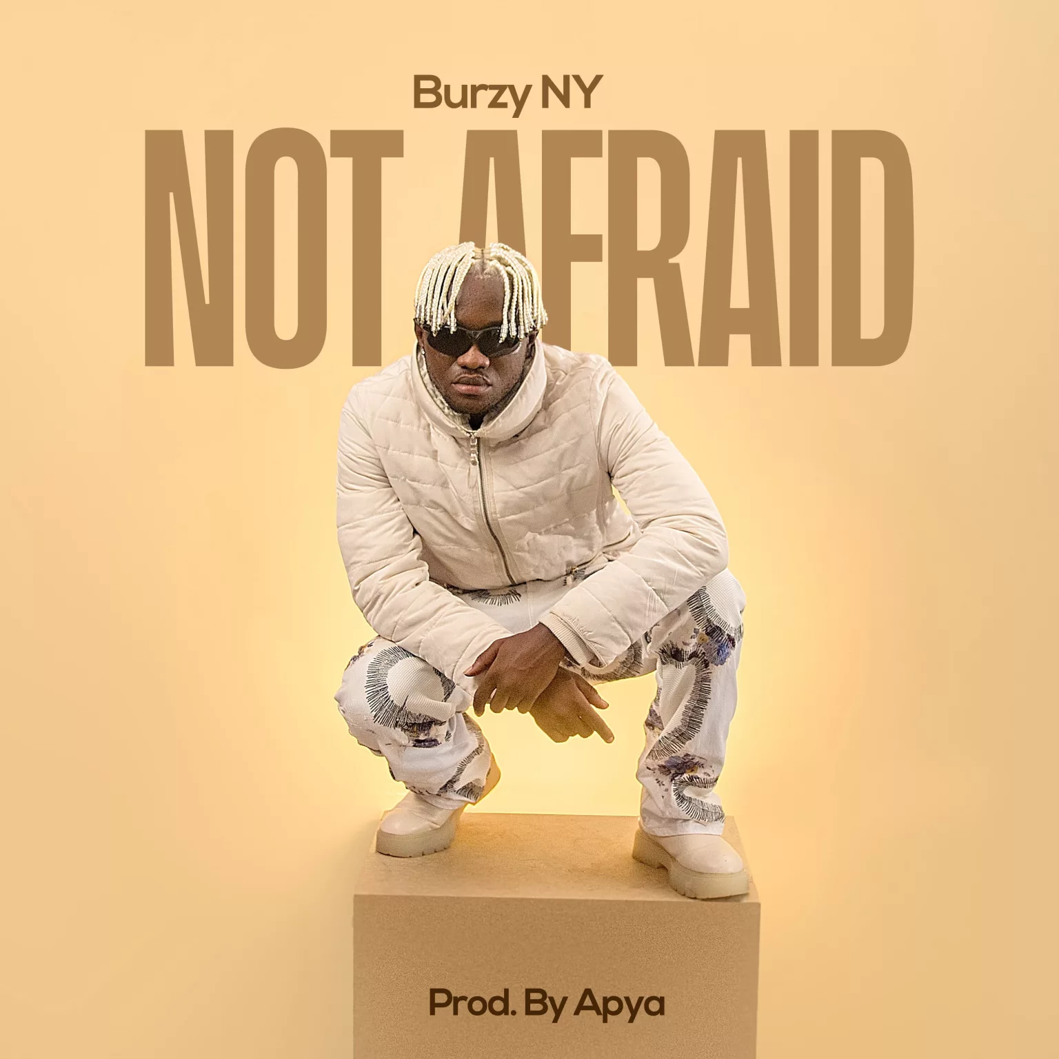 Burzy NY - Not Afraid (Prod. By Apya)