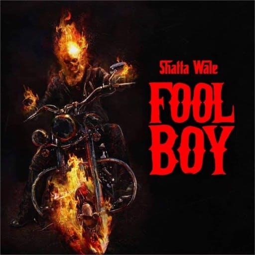 Shatta Wale – Fool Boy Shatta Wale – Fool Boy (Bufalo Diss) (Prod. By Damaker)