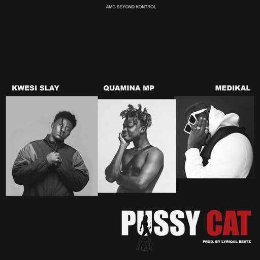 Kwesi Slay – Pussy Cat ft. Medikal Quamina Mp Prod. by Lyriqal Beatz Kwesi Slay – Pussy Cat ft. Medikal & Quamina Mp (Prod. by Lyriqal Beatz)