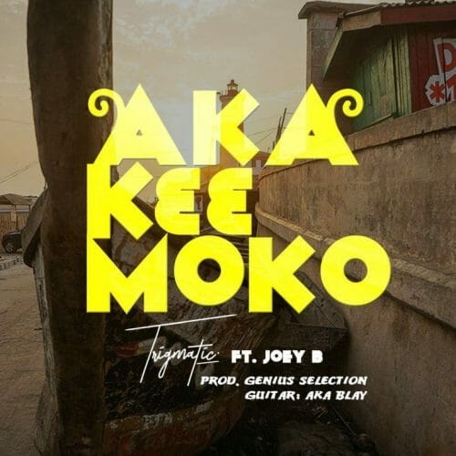 Trigmatic – Aka K33 Moko ft. Joey B