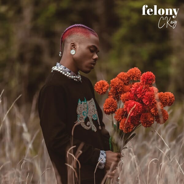 Ckay – Felony (Prod. by Auxx)