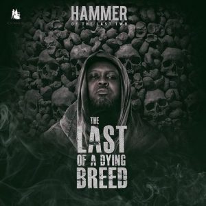 Hammer of The Last Two – Remember Ebony ft. Shatta Wale, Obrafour, Worlasi, Poetress & Abeiku Santana