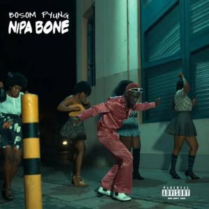 Bosom P Yung – Nipa Bone Hitz360 com mp3 image Bosom P-Yung – Nipa Bone