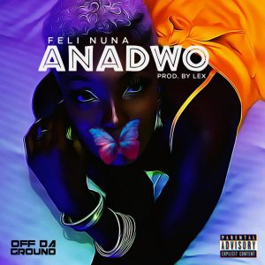 Feli Nuna – Anadwo (Prod. By Lex)